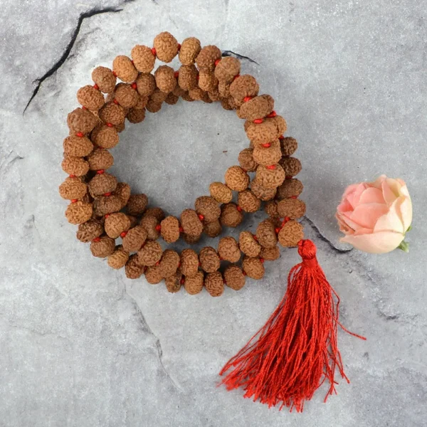 8 Mukhi Rudraksha Mala