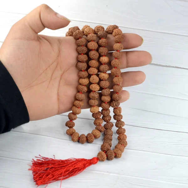 8 Mukhi Rudraksha Mala